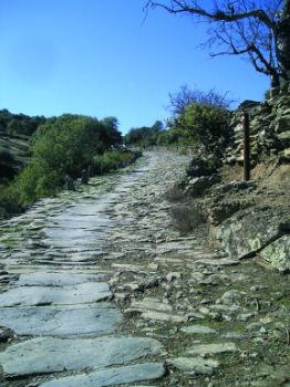 Camino Roa de la Reina en Vilvestre